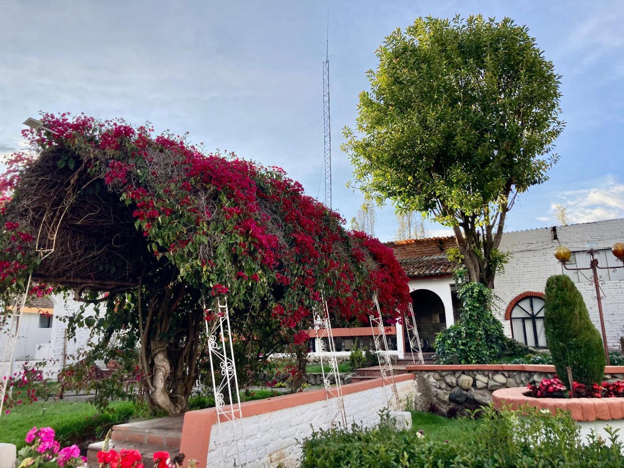 Hosteria El Troje Experience Riobamba Buitenkant foto